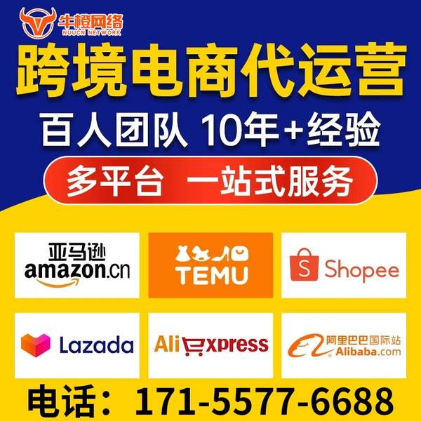 丹东电商代运营