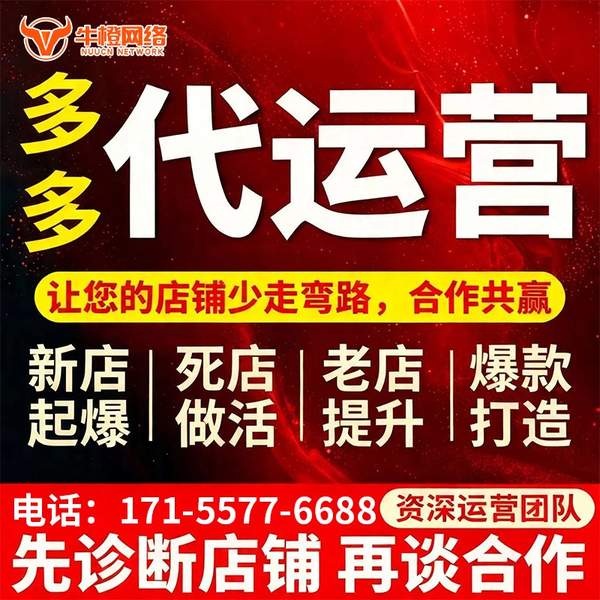 丹东电商代运营