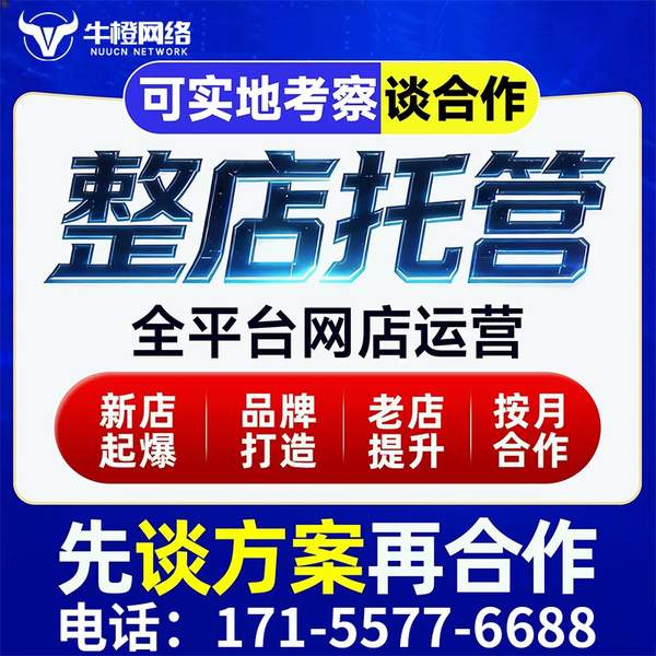 丹东电商代运营
