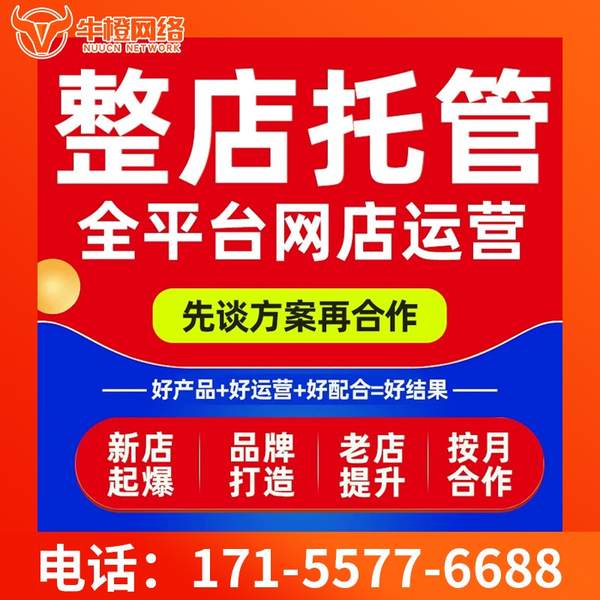 丹东电商代运营