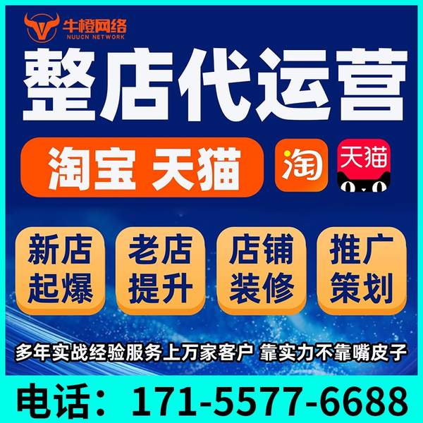 丹东电商代运营