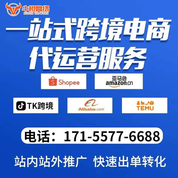 丹东电商代运营
