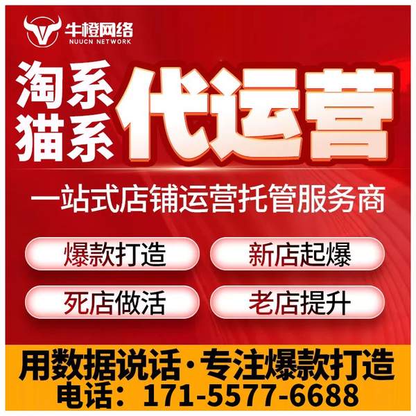 丹东电商代运营